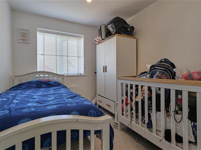 Picture 13